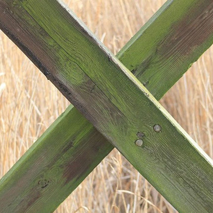 groene-aanslag-teakhout-verwijderen