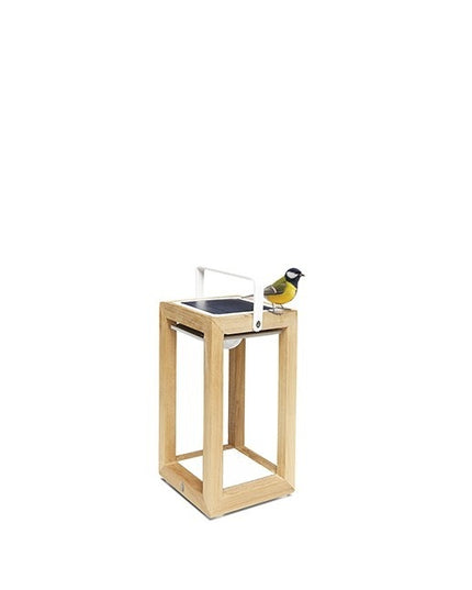 Tom | Lamps | Solar | Available in 6 colors