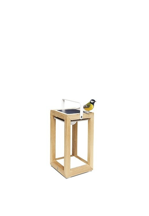 Tom | Lamps | Solar | Available in 6 colors