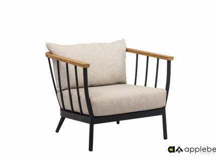 Condor lounge chair | incl. pillows