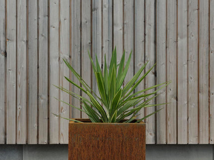 Kummin | Planter Brafab | 4 sizes