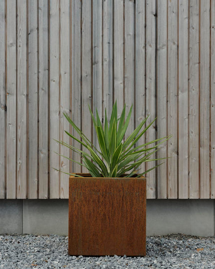 Kummin | Planter Brafab | 4 sizes