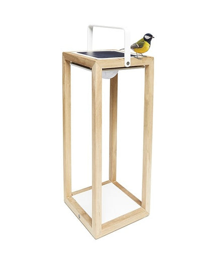 Tom | Solar Lamp | M | Available in 6 colors