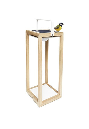 Tom | Solar Lamp | M | Available in 6 colors