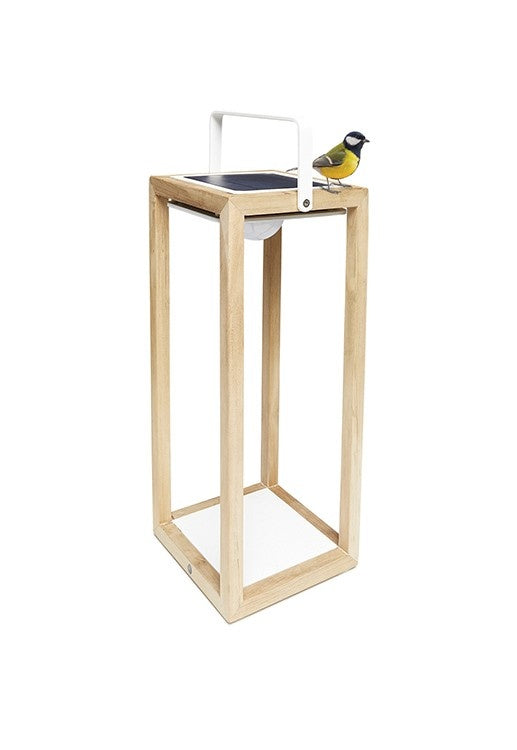 Tom | Solar Lamp | M | Available in 6 colors