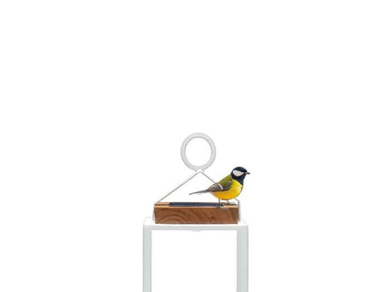 Coco | Lamps | Available in 5 colors