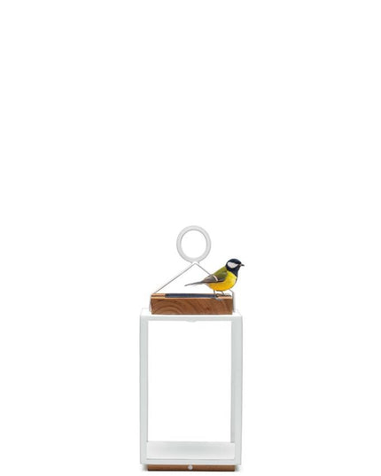 Coco | Lamps | Available in 5 colors