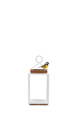 Coco | Lamps | Available in 5 colors