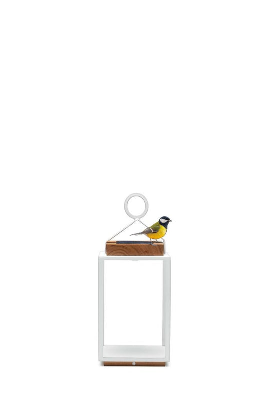 Coco | Lamps | Available in 5 colors