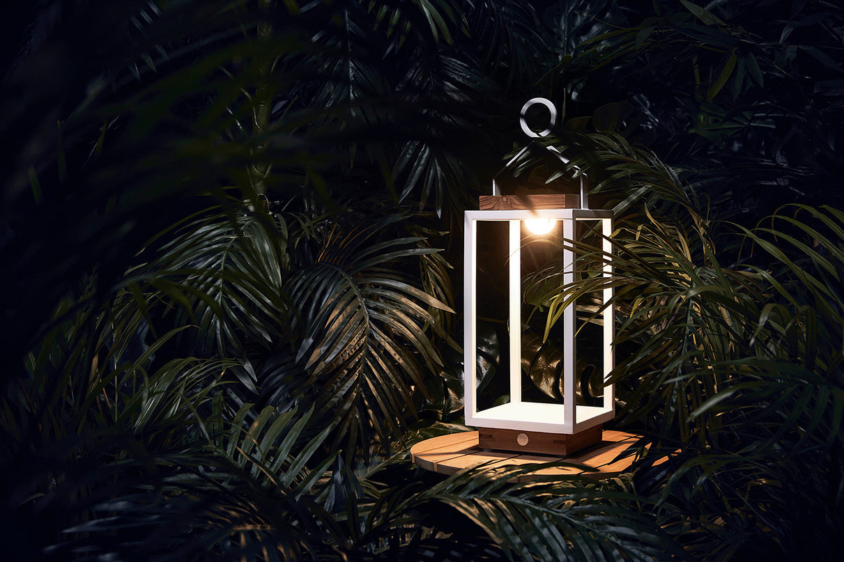 Coco | Lamps | Available in 5 colors