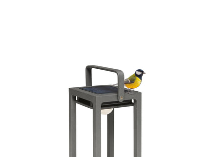 Jack | Lamps | Solar | Available in 6 colors