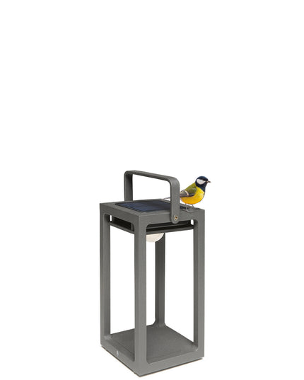 Jack | Lamps | Solar | Available in 6 colors
