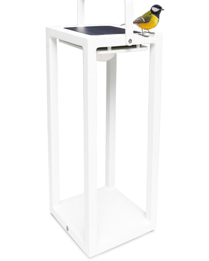 Jack | Lamp M | Solar | Available in 6 colors