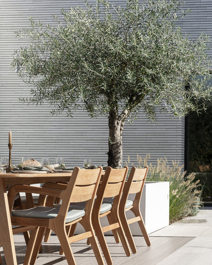 Norden garden set | 240 x 100