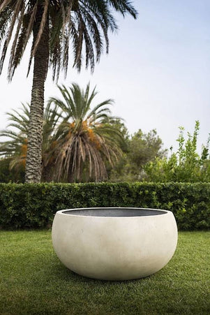 Cumino fungo | Panna color | Planter