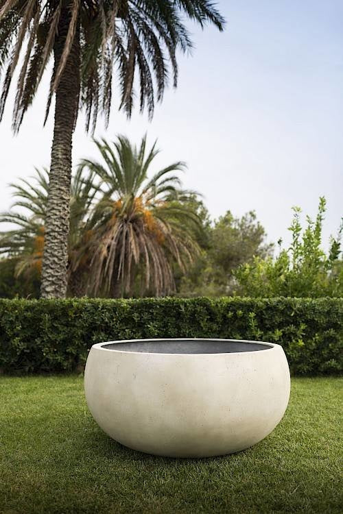 Cumino fungo | Panna color | Planter