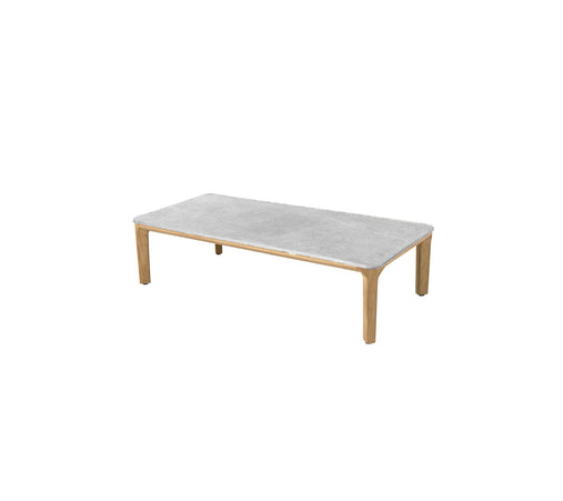 Coffee table aspect | 120x60cm | Fossil Gray