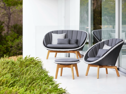 Peacock 2 Sitting Lounge sofa incl Pillow