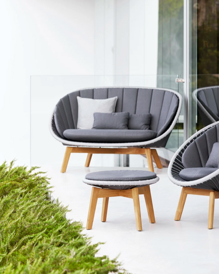 Peacock 2 Sitting Lounge sofa incl Pillow