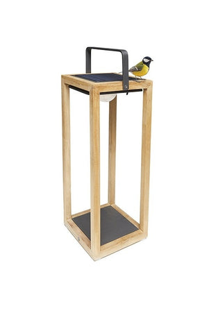 Tom | Solar Lamp | M | Available in 6 colors