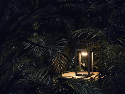 Jack | Lamp M | Solar | Available in 6 colors