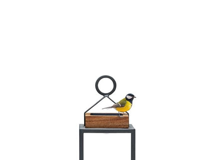 Coco | Lamps | Available in 5 colors