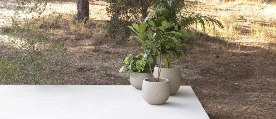 Terra Balloon | Color Sabbia | Plants pots Jardinico | 3 sizes