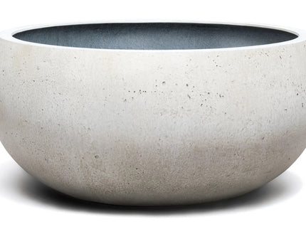 Cumino fungo | Panna color | Planter
