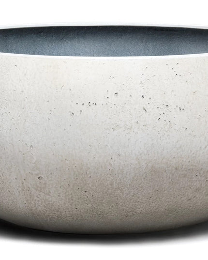 Cumino fungo | Panna color | Planter