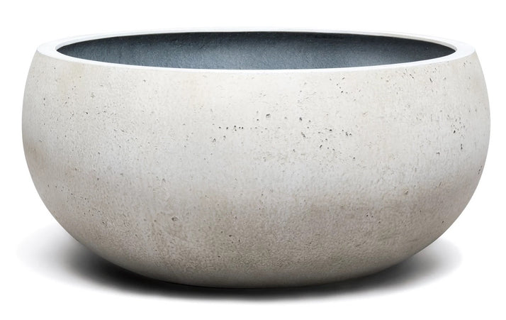 Cumino fungo | Panna color | Planter