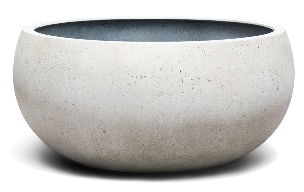 Cumino fungo | Panna color | Planter