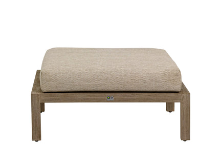 Olive Hocker Coastal