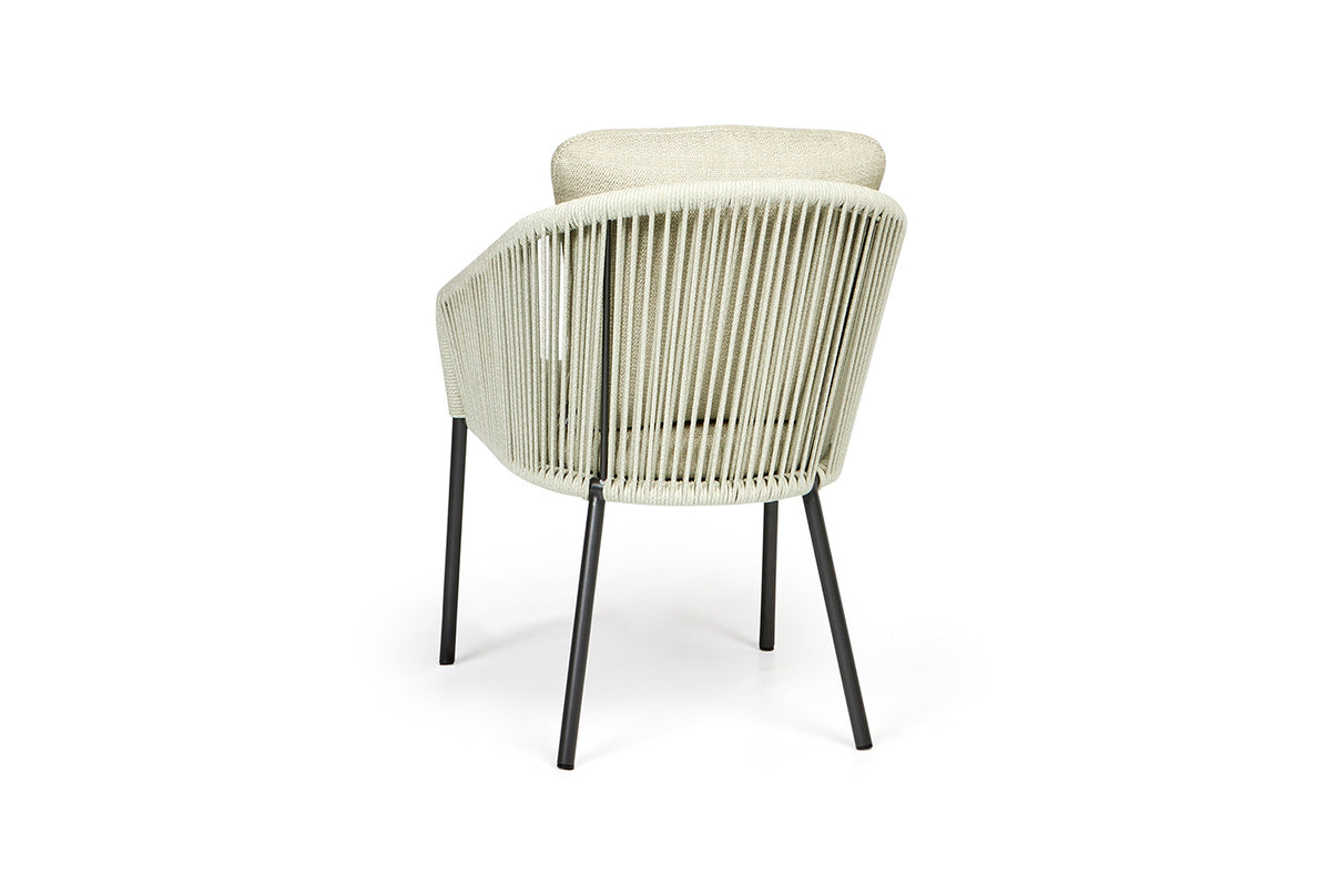 Nappa Fishbone | Mrg | Fishbone | DIV colors