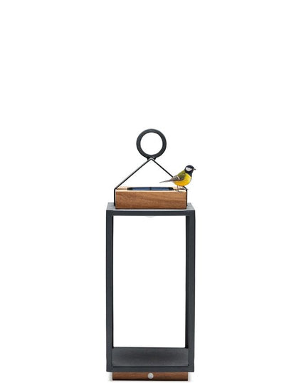 Coco | Lamp M | Available in 5 colors