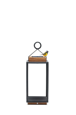 Coco | Lamp M | Available in 5 colors