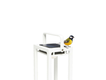 Jack | Lamps | Solar | Available in 6 colors