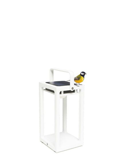 Jack | Lamps | Solar | Available in 6 colors