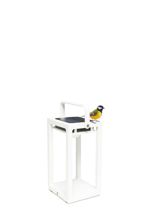 Jack | Lamps | Solar | Available in 6 colors