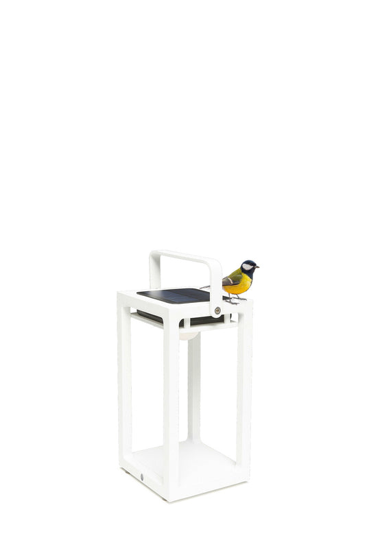 Jack | Lamps | Solar | Available in 6 colors