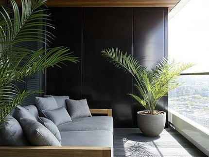 Lars | Daybed